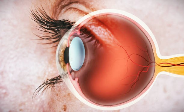 Best Retina Surgeon in Mulund